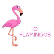 10 Flamingos